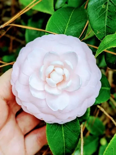 Birthday Bouquet! 💐