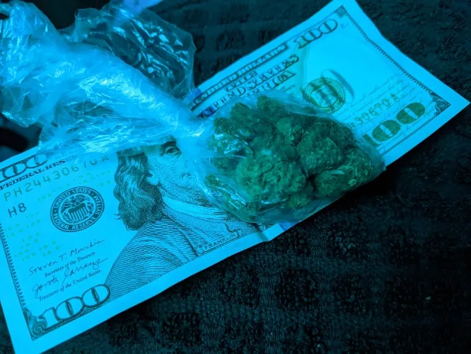 My favorite things! 💸🌿