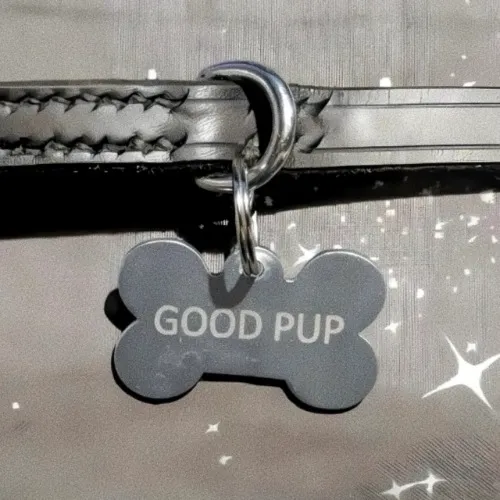 222 Yes Puppy