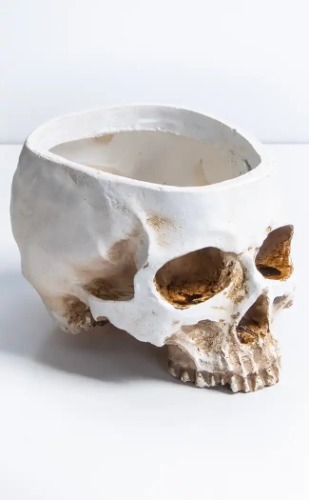 Soul Harvest Skull Planter | Default Title