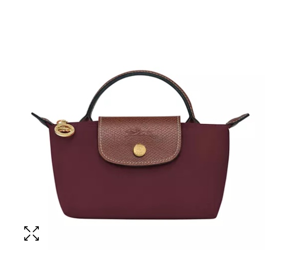longchamp bag 