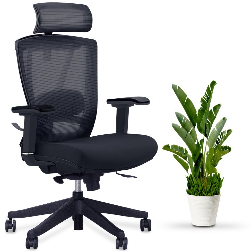 AeryChair - Ergonomic Chair - Black