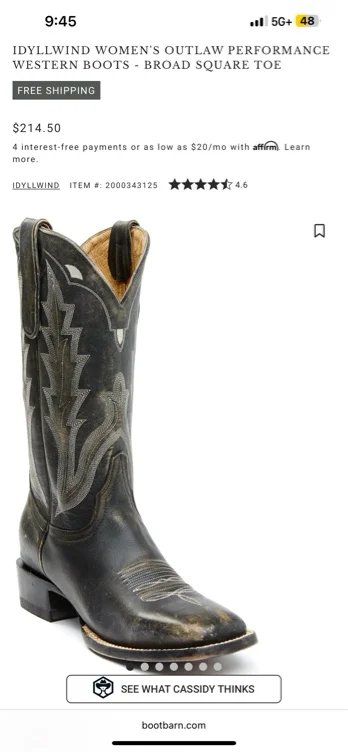 Cowgirl boots 