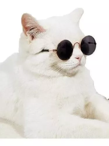 Lentes Para Mascotas, Lentes Gafas Para Gatos Colores Varios
