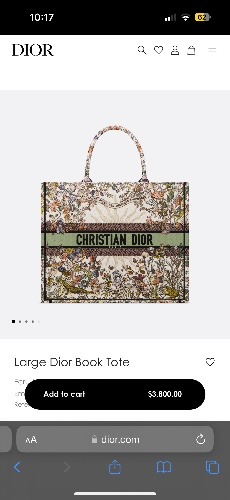 Large Dior Bag