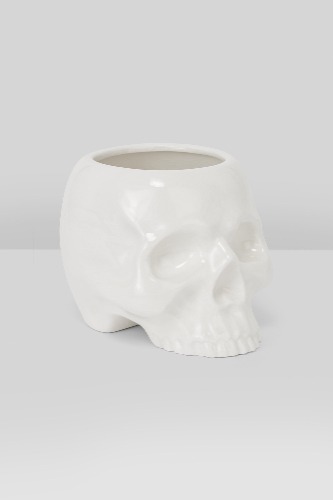 Cranium Planter - One Size / White / 100% Ceramic