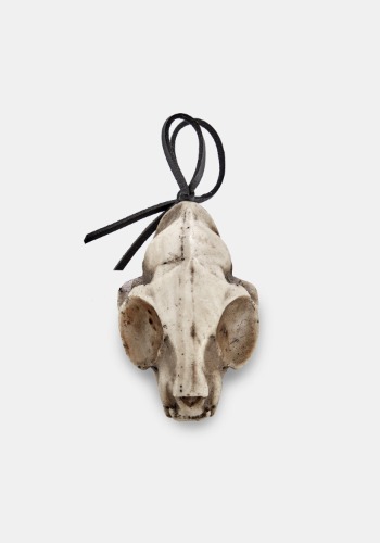 Cat Skull Offering | Default Title
