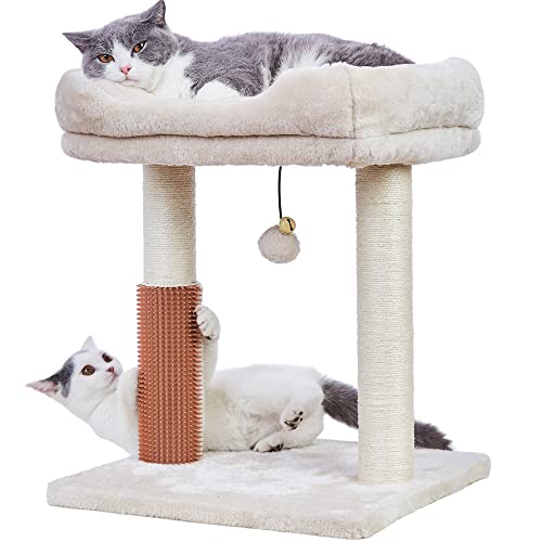 MeowSir Cat Tree 4 in 1 Cat Scratching Post Featuring with Cat Self Groomer Wide Large Top Perch Natural Scratching Post and Danging Ball for Indoor Cats-Beige - Beige