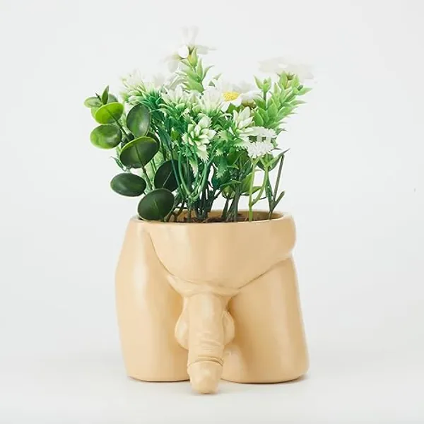 Body Vases for Decor - Penis Planter Pot, Male Body Plant Pots - Penis Vase Funny Planter Gift for Succulents and Cacti (Coffee, Large) - Coffee - Large