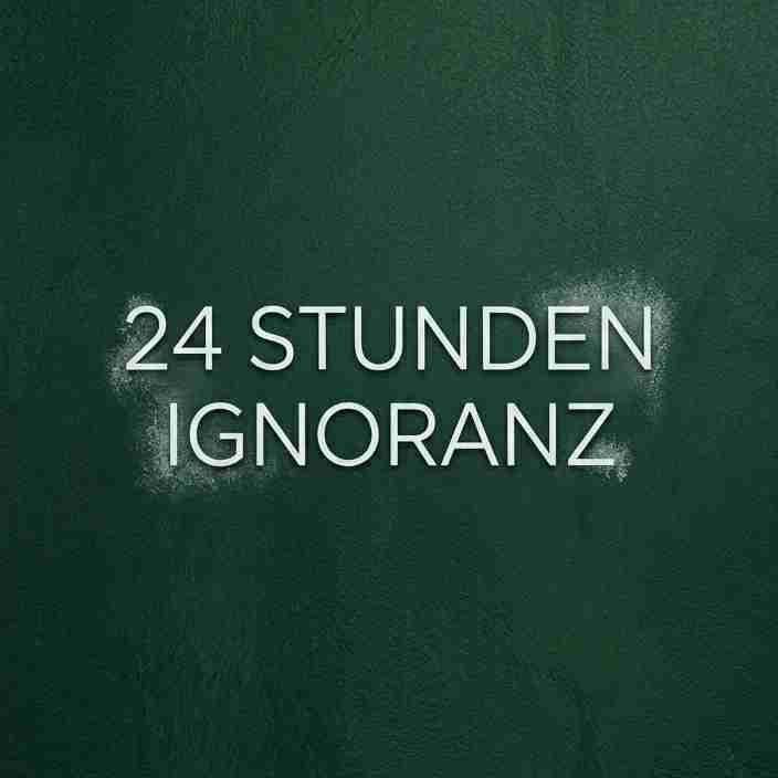 Silent Treatment (24h Ignoranz) 🤫⏳ 