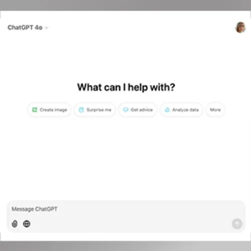 ChatGPT (1 Month)