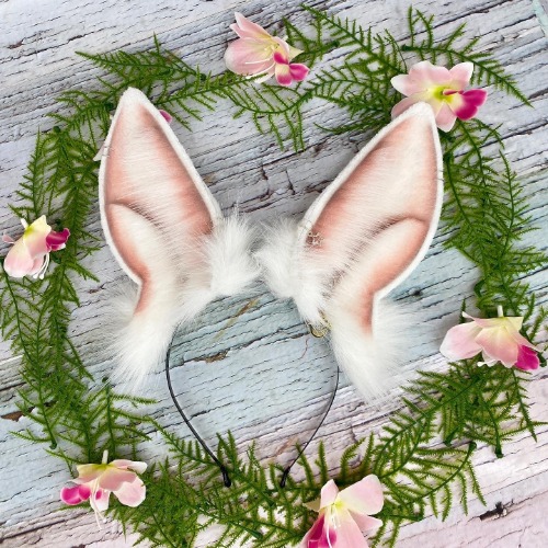 Smol white bun bun ears | Ears only