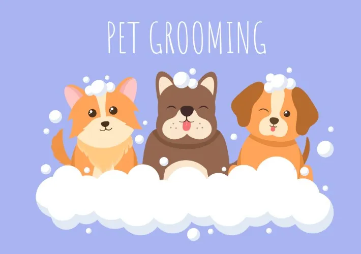 Pet Grooming