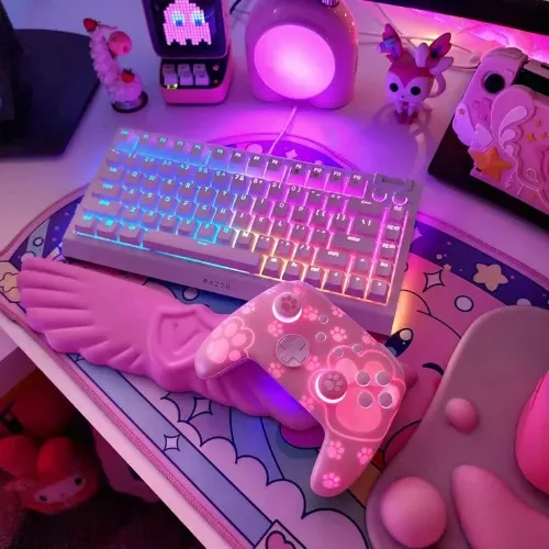 pink controller