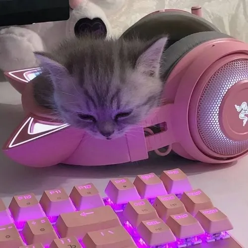 cute headset