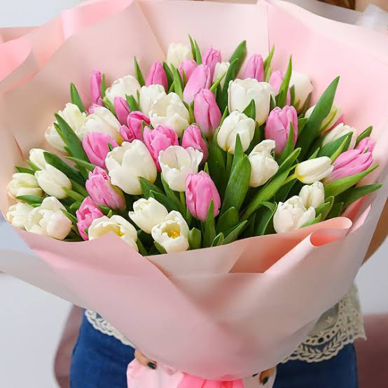 Bouquet of tulips 🌷 