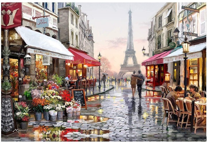 Skudgear DIY Oil Painting (40CM * 50CM, Paris Street) | Paint by Numbers for Kids and Adults | Beginners Friendly | Unframed Printed Canvas | Premium Brushes | Do-it-Yourself Wall Decor Gift, Paris Street - Paris Street