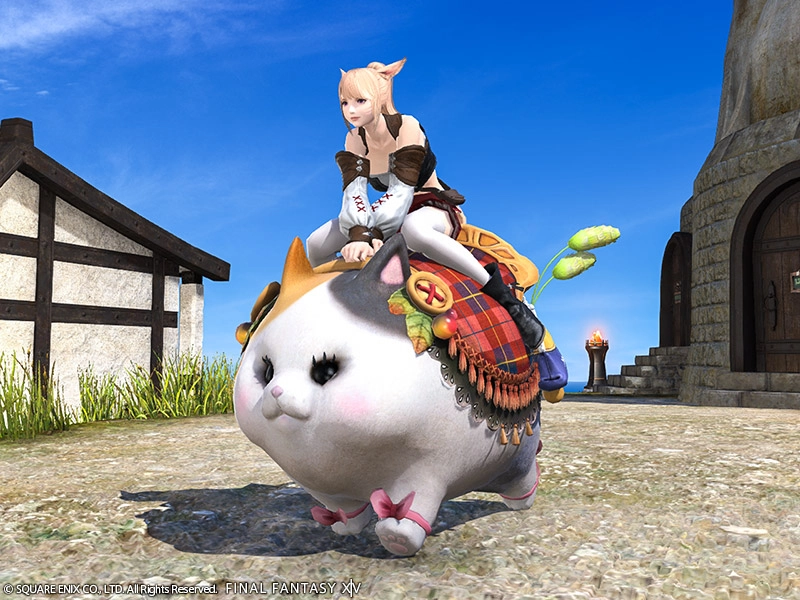 Mount: Fatter Cat (Account-wide) | FINAL FANTASY XIV Online Store