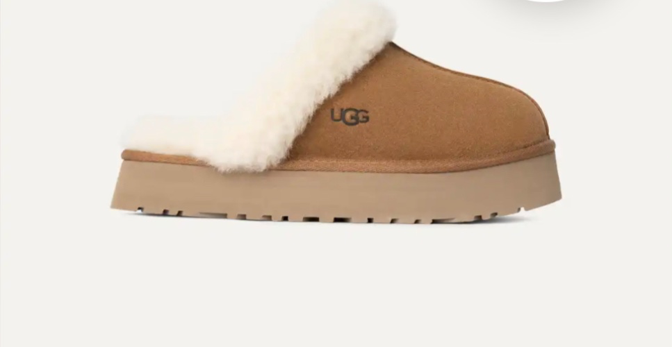 Chestnut disquette uggs