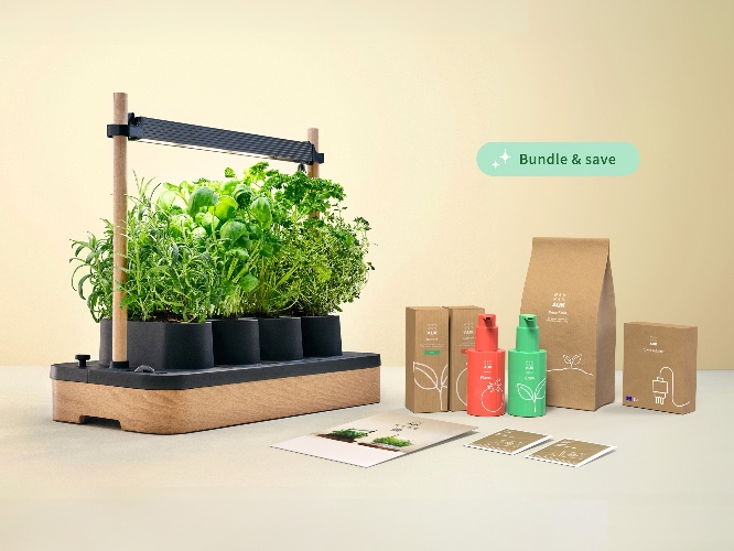 Auk Mini Bundle | Black / Oak