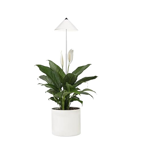 Parus by Venso SUNLiTE plant lamp 7W blanco, lámpara de crecimiento LED con varilla telescópica, luz de crecimiento para plantas de interior y plantas verdes - Blanco
