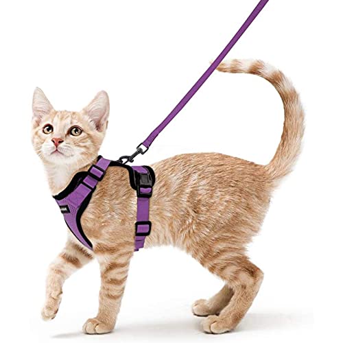 rabbitgoo Cat Harness and Leash Set for Walking Escape Proof, Adjustable Soft Kittens Vest with Reflective Strip for Cats, Comfortable Outdoor Vest, Red, L - Small - Purple