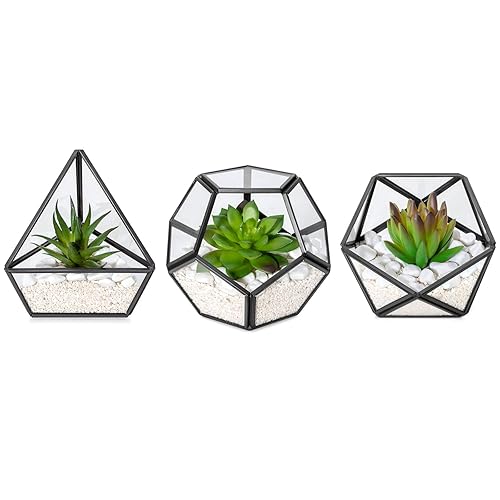 Mkono Artificial Succulent in 3 Pack Mini Glass Geometric Terrarium, Miniature Potted Faux Plant Bookshelf Desk Boho Office Room Decor for Women Girls Dorm Gift Idea, Black - Black