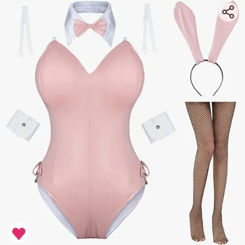 Bunny Girl Outfit