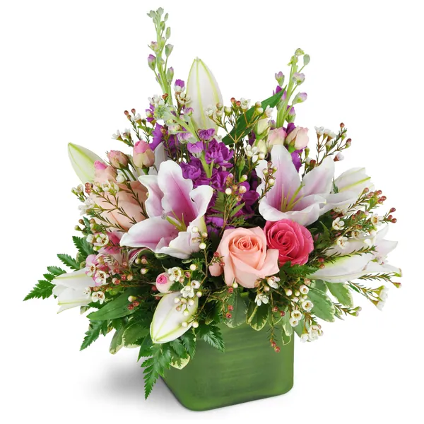 May Flowers