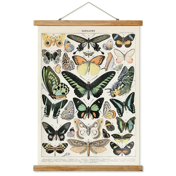 Vintage Butterfly Poster Hanger Frame, Retro Style of Wall Art Prints, Printed on Linen with Natural Wooden Frames, Illustrative Reference Chart Poster for Living Room Office Bedroom