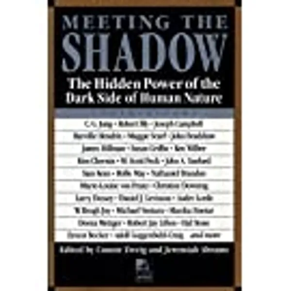Meeting the Shadow: The Hidden Power of the Dark Side of Human Nature