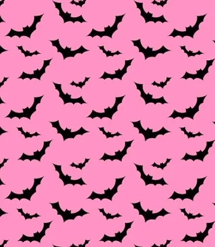 「 ✦ Shopping spree ✦ 」