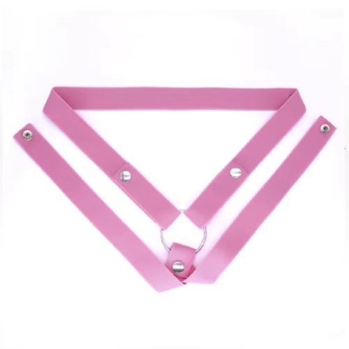 Deluxe Chastity Cage Tightening Belt | Pink