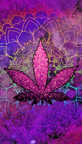 💗🍁Medicine💗