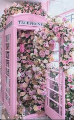 Monthly Phone Bill💗