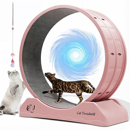 BBTEQEKN Cat Exercise Wheel 31.5 inch, Fitness Weight Loss Device, for Cats Sport Runway Fitness Weight Control, with Nonslip Carpet and Locking Mechanism