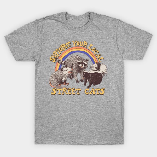 Support Your Local Street Cats (raccoon)