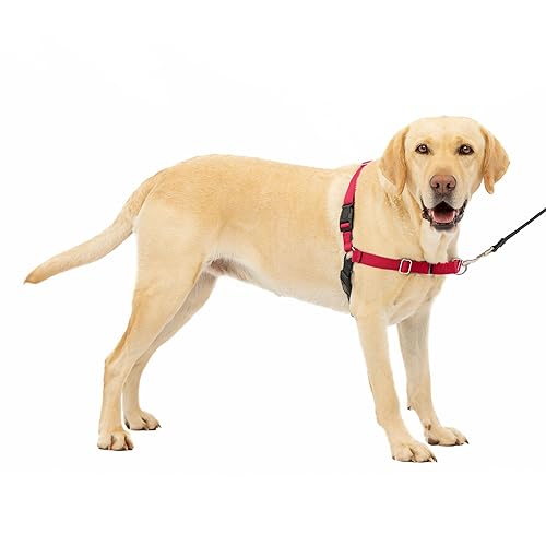 PetSafe Easy Walk No-Pull Dog Harness - The Ultimate Harness to Help Stop Pulling - Take Control & Teach Better Leash Manners - Helps Prevent Pets Pulling on Walks, Large, Red/Black - Large - Red