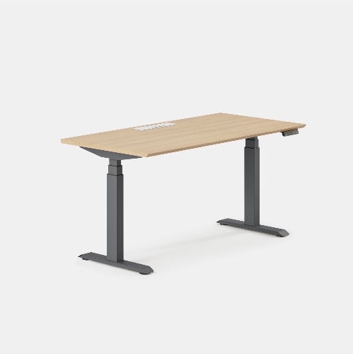 Standing Desk - Woodgrain / Charcoal / 48 inches x 30 inches