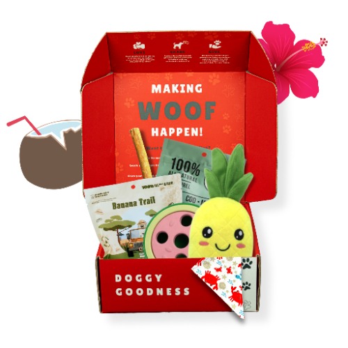 Hawaii Aloha Themed Dog Box - Medium