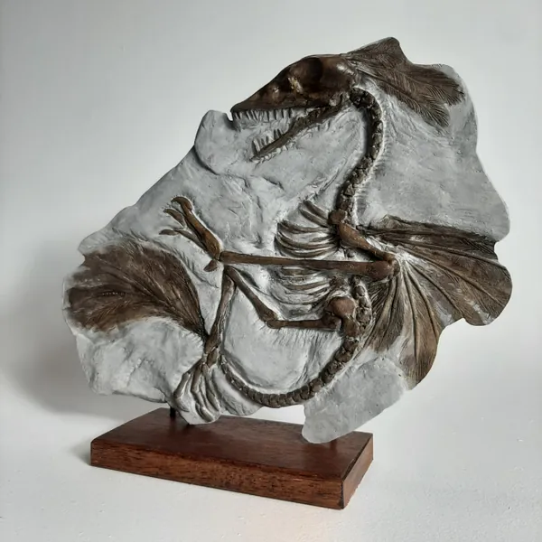 ARCHAEOPTERYX (distant cousin) FOSSIL replica / sculpture.