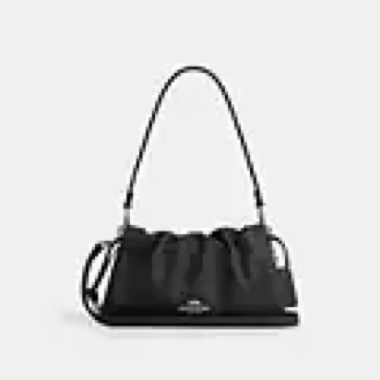 the purse i want 🥰