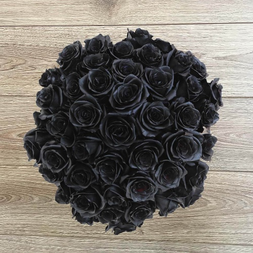 2 Dozen Black Mamba Roses - Rosaholics
