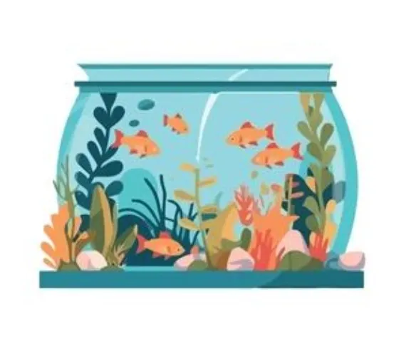 Aquarium Cleaning Day