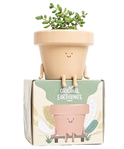 Original Earthlings Sitting Pot - 3.5 Inch Cute Plant Pot - Plastic Funny Planter with Drainage - Unique Cactus Plant Lover Gift - Small Succulent Face Flower Pot - Cute Plant Gifts for Plant Lovers - Sitting