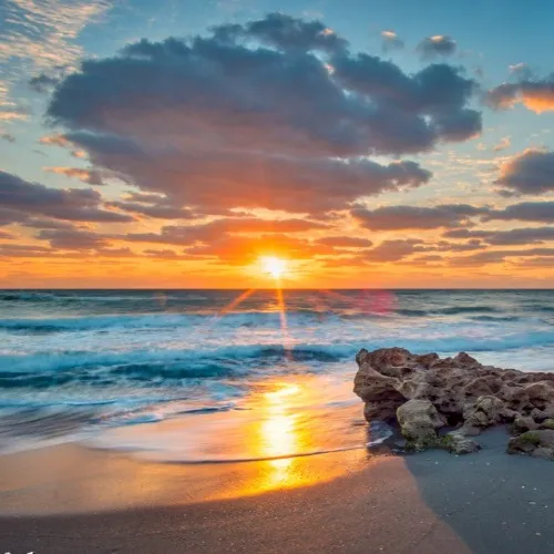 Good Morning Postcard