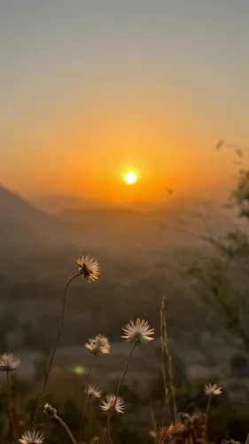 Good morning sunshine 🌻