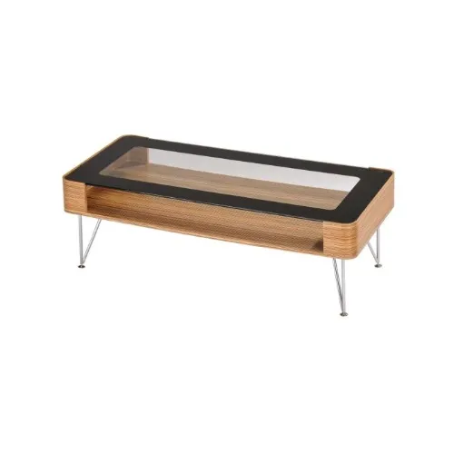 Zine Scandinavian Large Rectangular Coffee Table