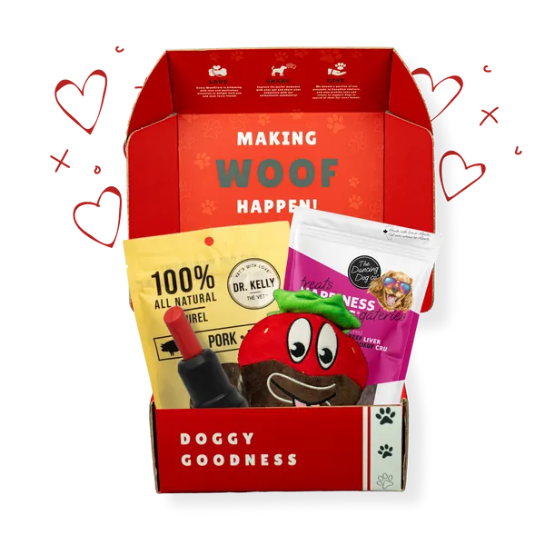 Valentines Themed Dog Box - Large