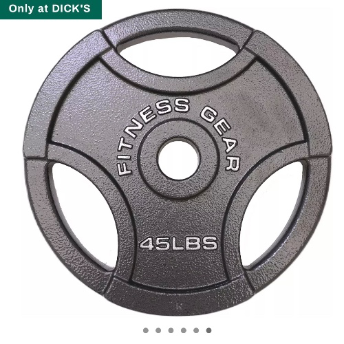 45 lbs Plates 